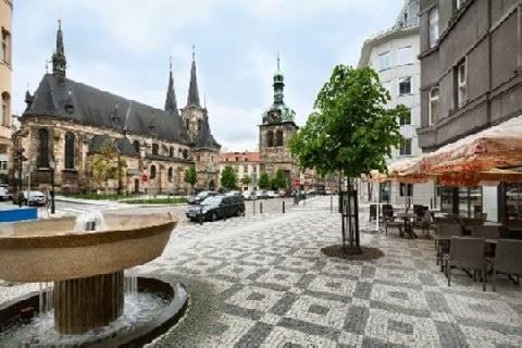 Oasis Prague